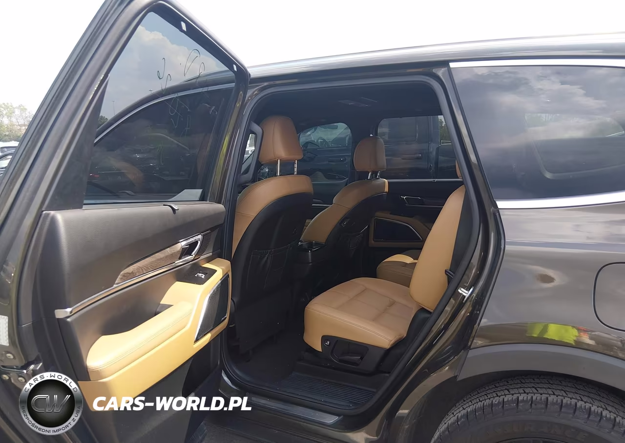 2020 Kia Telluride Sx VIN:5XYP54HC4LG009532 - 8