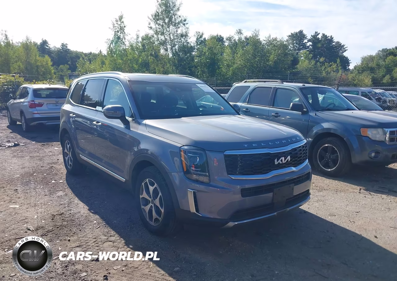 2022 Kia Telluride Ex VIN:5XYP3DHC3NG253763 - 1