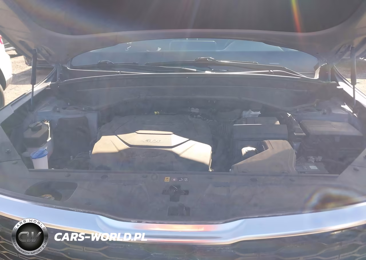 2022 Kia Telluride Ex VIN:5XYP3DHC3NG253763 - 10