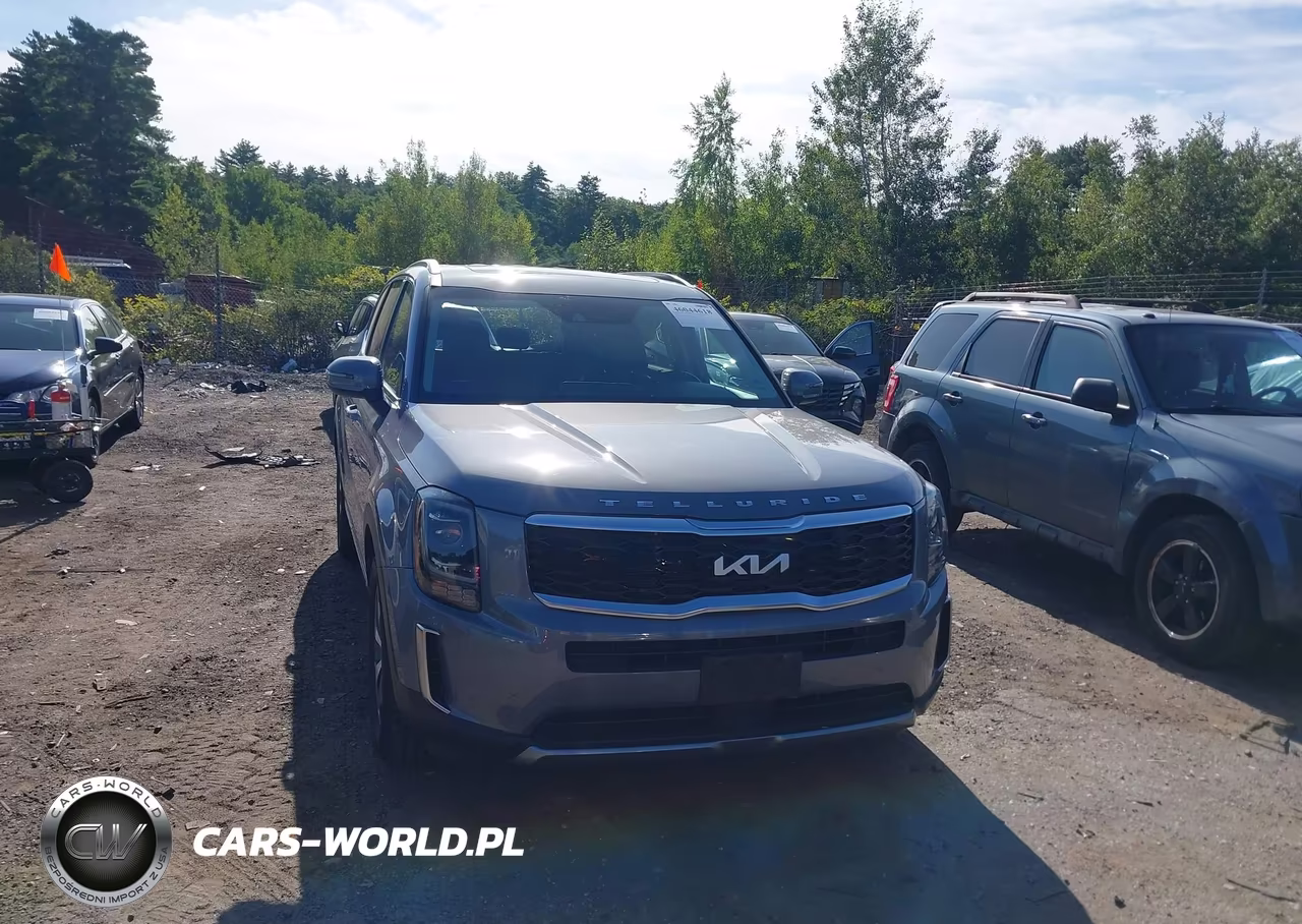 2022 Kia Telluride Ex VIN:5XYP3DHC3NG253763 - 12