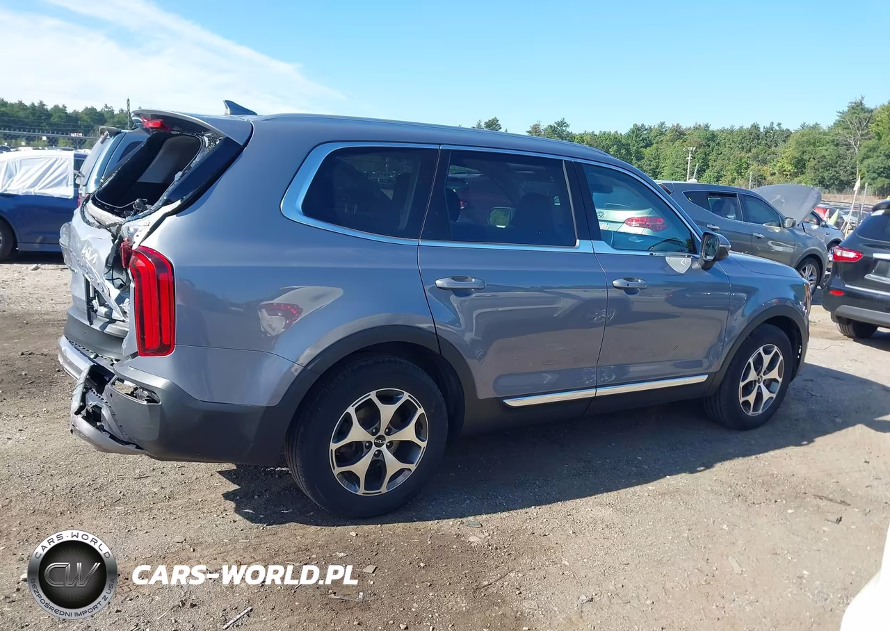 2022 Kia Telluride Ex VIN:5XYP3DHC3NG253763 - 13