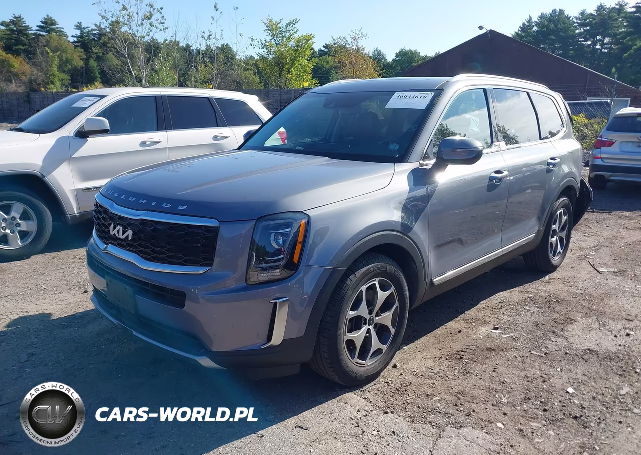 2022 Kia Telluride Ex VIN:5XYP3DHC3NG253763 - 2
