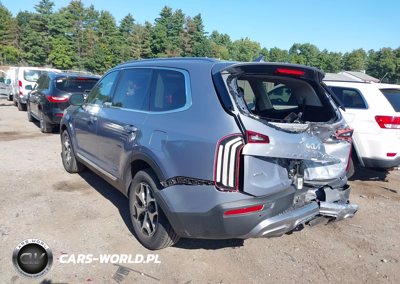 2022 Kia Telluride Ex VIN:5XYP3DHC3NG253763 - 3