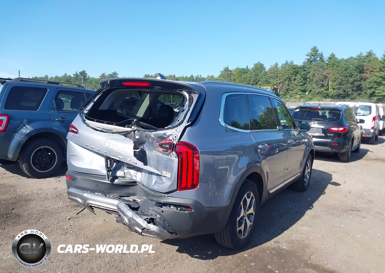 2022 Kia Telluride Ex VIN:5XYP3DHC3NG253763 - 4