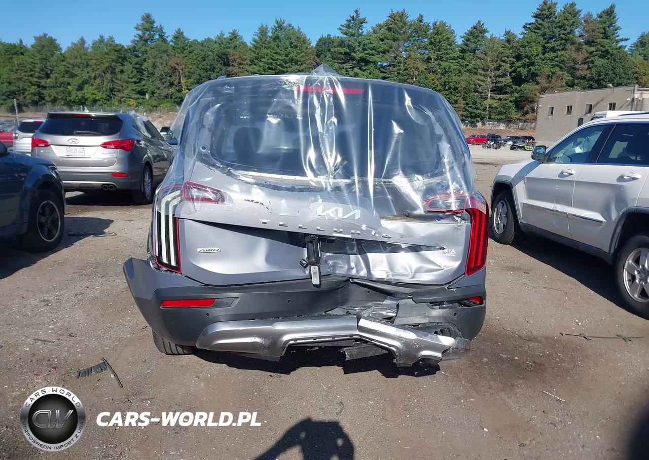 2022 Kia Telluride Ex VIN:5XYP3DHC3NG253763 - 6
