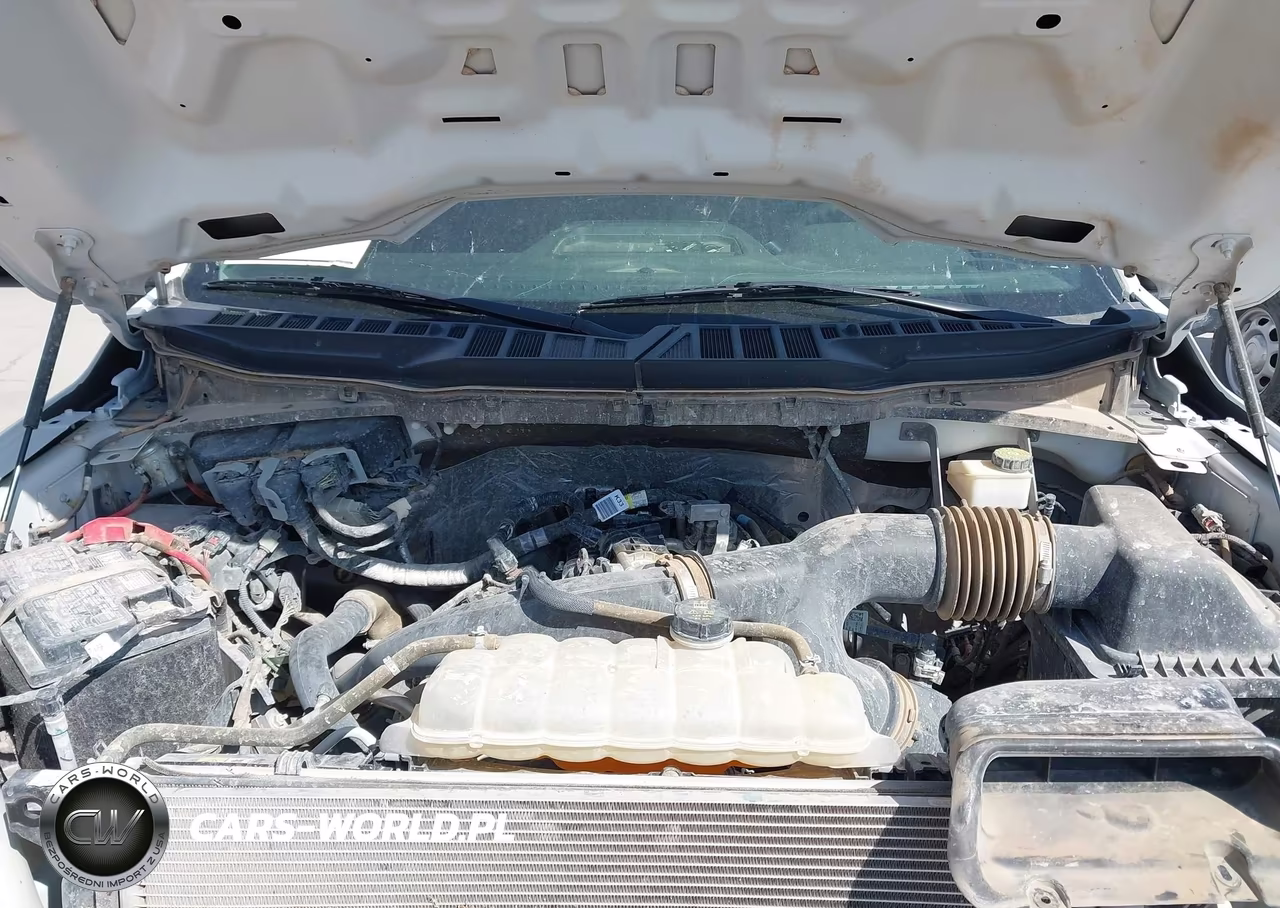 2024 Ford F-150 Xl VIN:1FTEX1LP6RKE24249 - 10