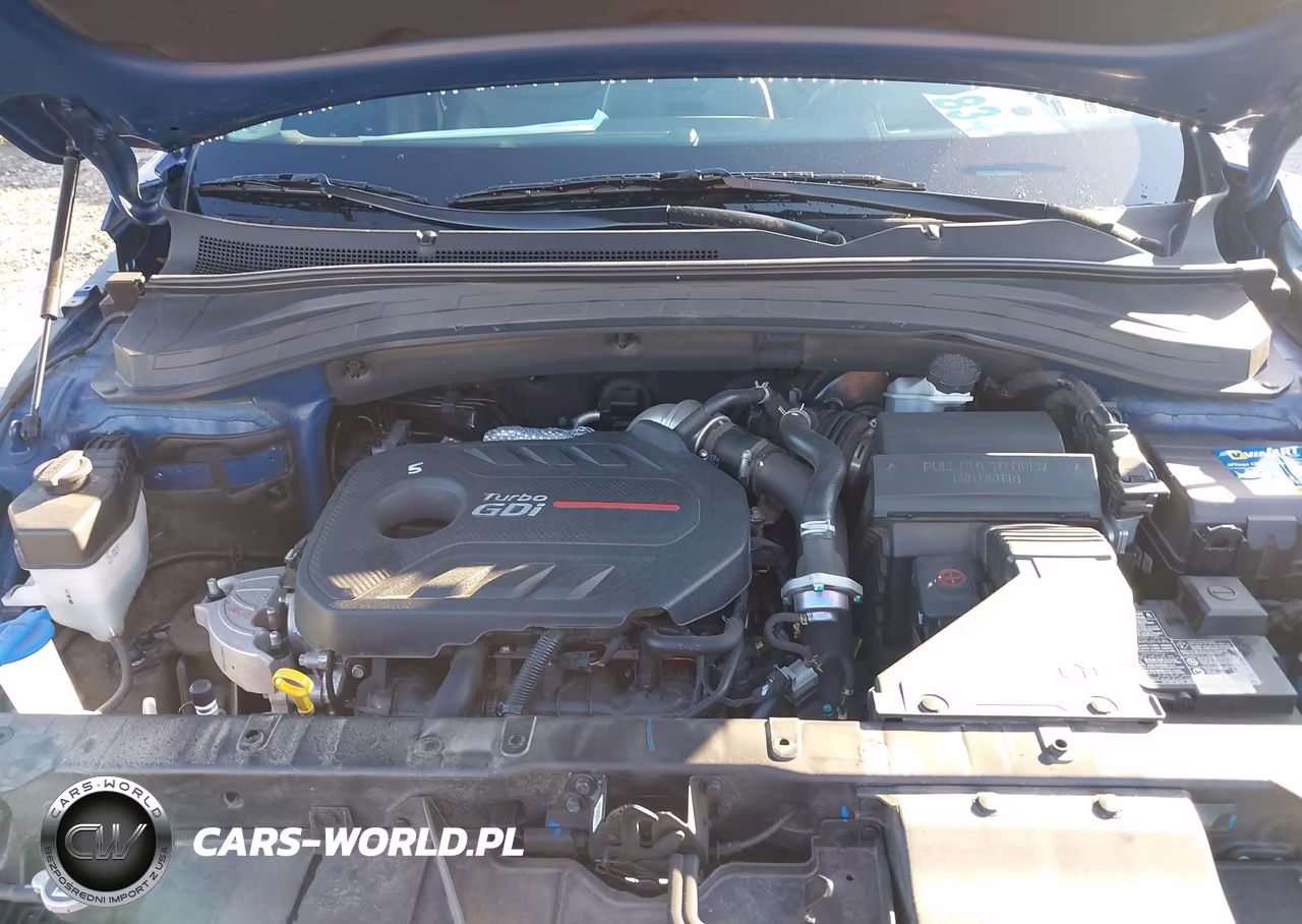 2020 Hyundai Santa Fe Limited 2.0T VIN:5NMS5CAA9LH197807 - 10