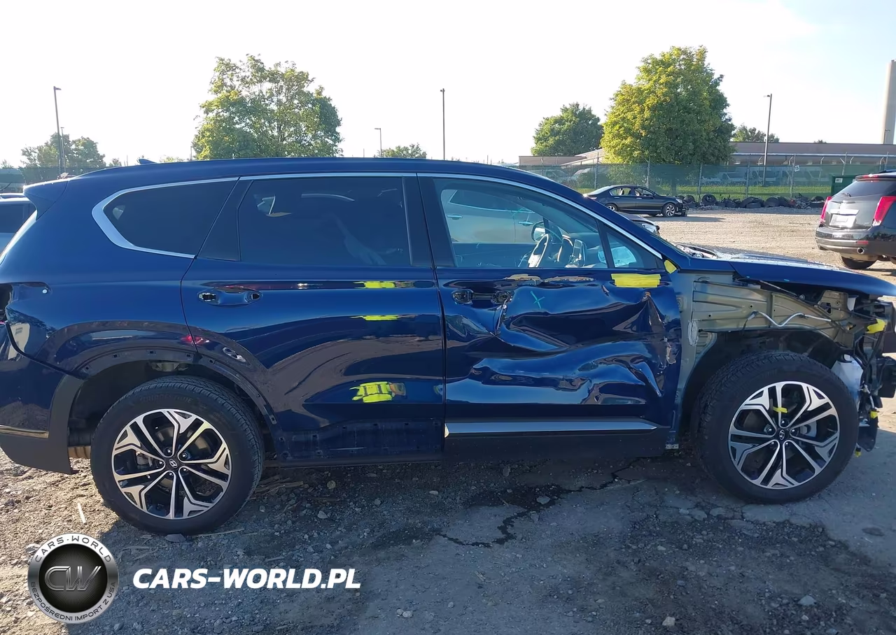 2020 Hyundai Santa Fe Limited 2.0T VIN:5NMS5CAA9LH197807 - 13