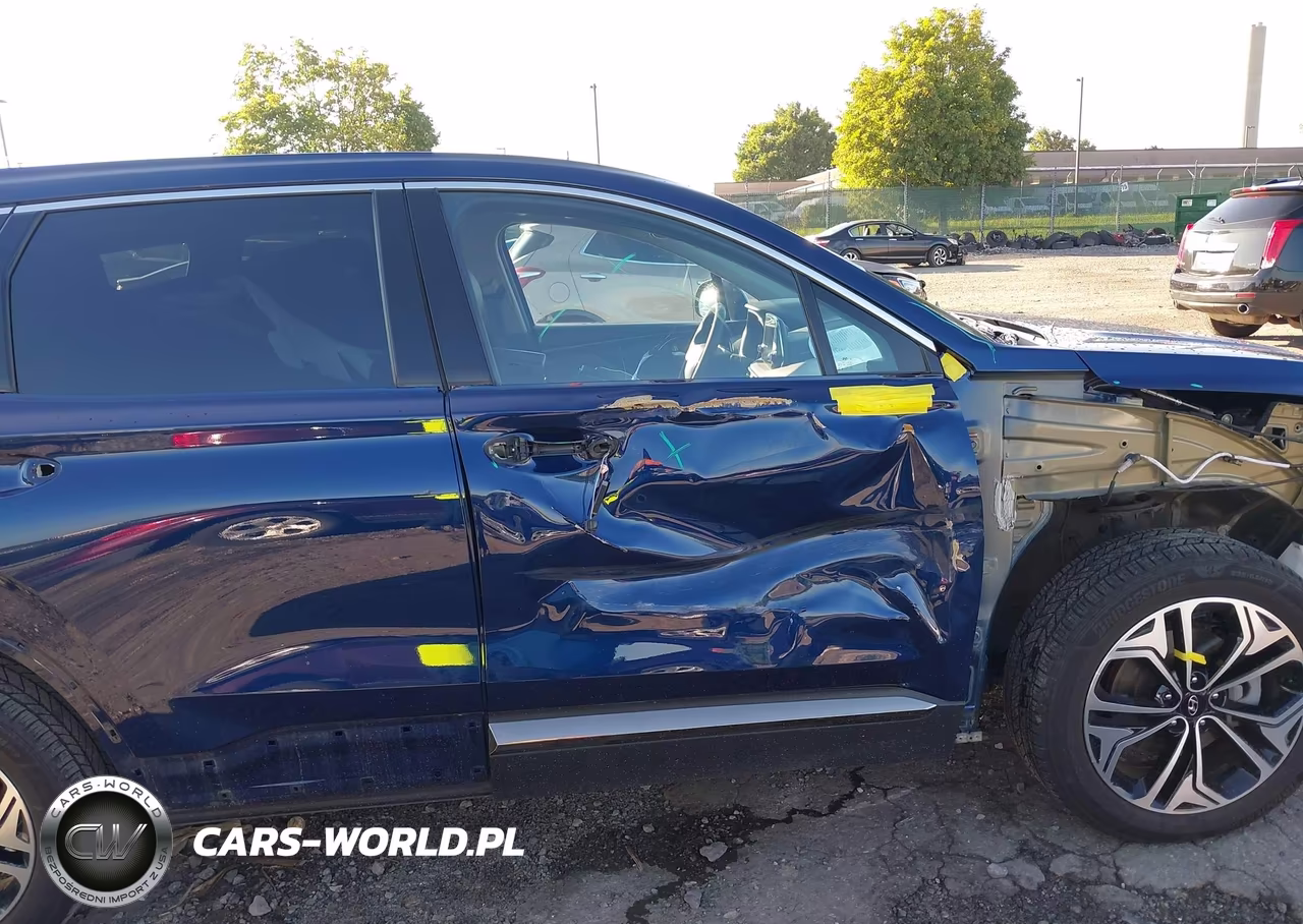 2020 Hyundai Santa Fe Limited 2.0T VIN:5NMS5CAA9LH197807 - 6