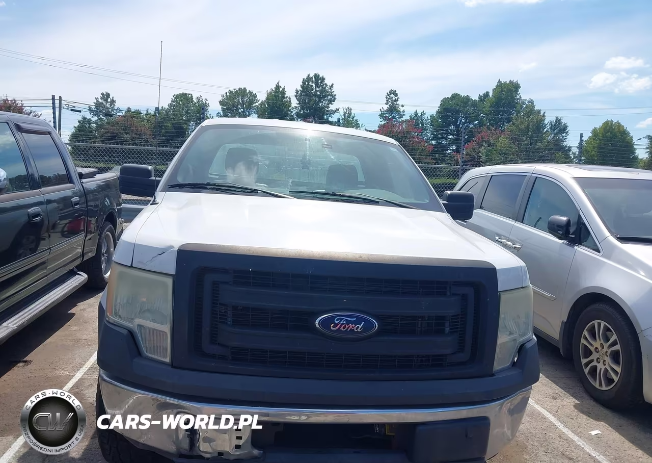 2014 Ford F-150 Xl VIN:1FTMF1CM9EKG06512 - 12