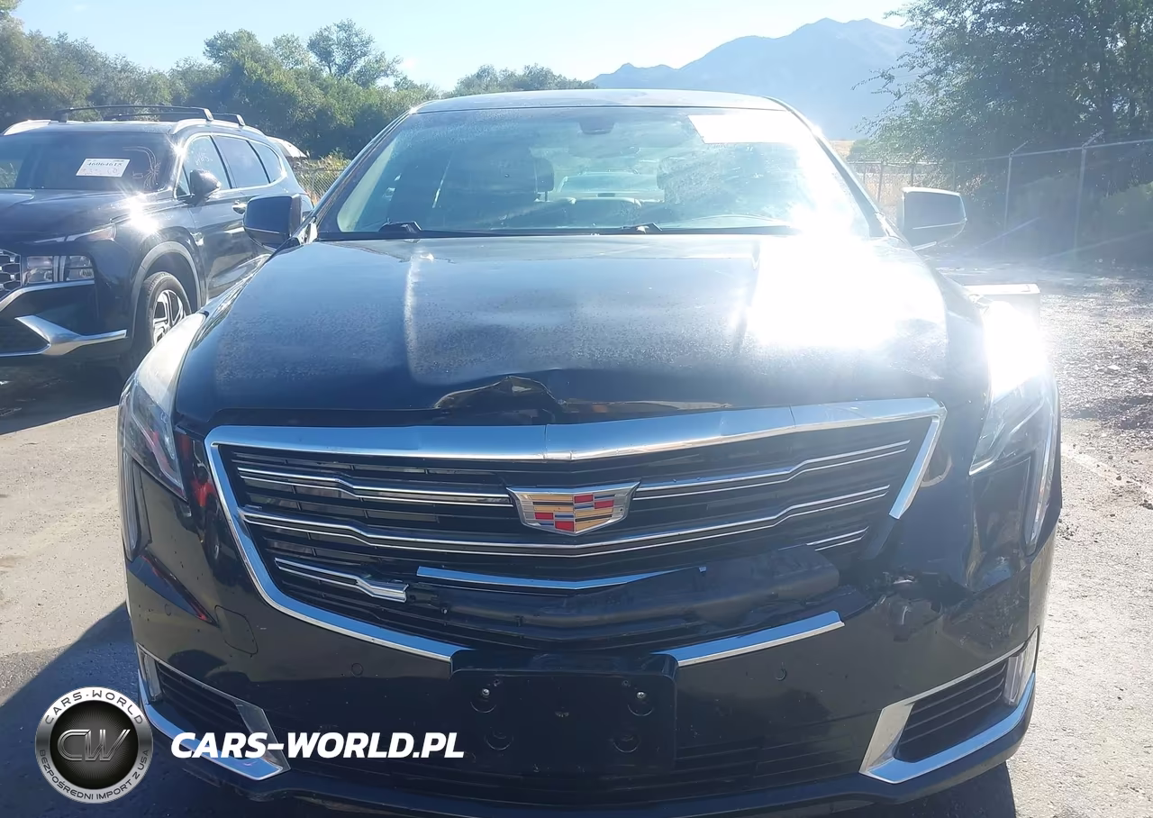 2019 Cadillac Xts Luxury VIN:2G61M5S37K9156030 - 12