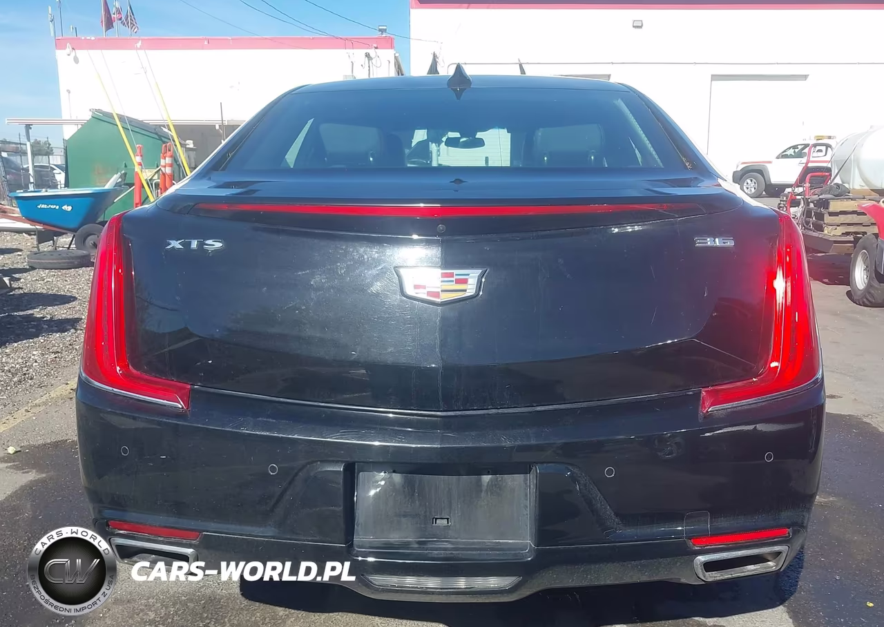 2019 Cadillac Xts Luxury VIN:2G61M5S37K9156030 - 16