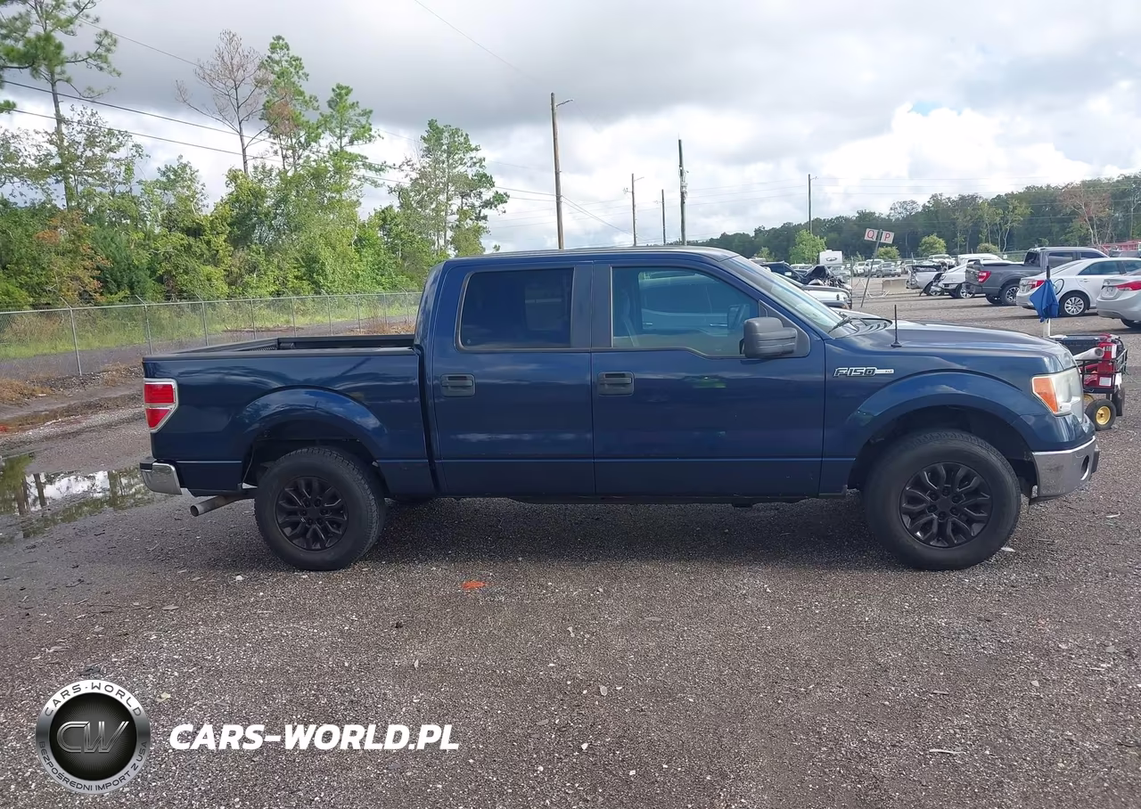 2014 Ford F-150 Xlt VIN:1FTFW1CF9EFA94480 - 13