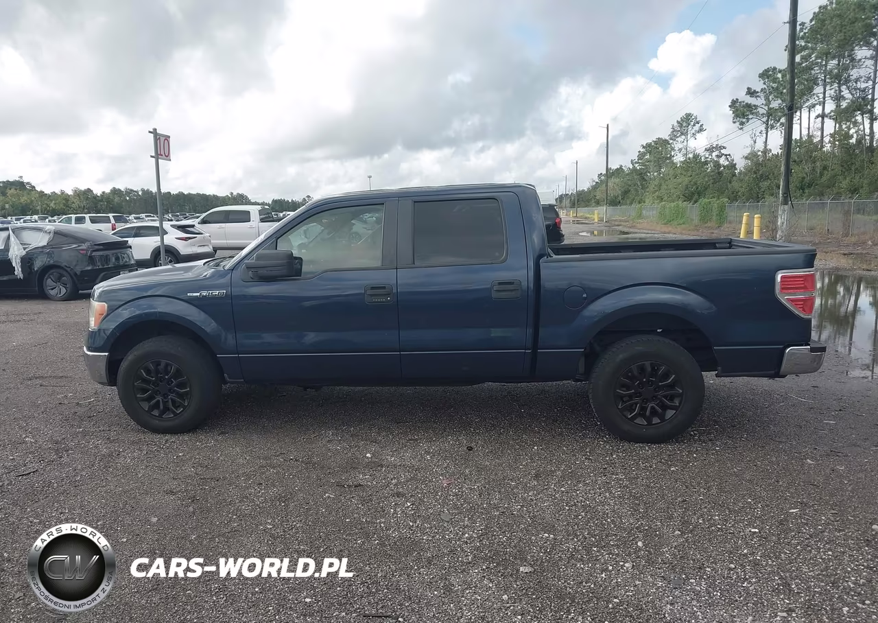 2014 Ford F-150 Xlt VIN:1FTFW1CF9EFA94480 - 14