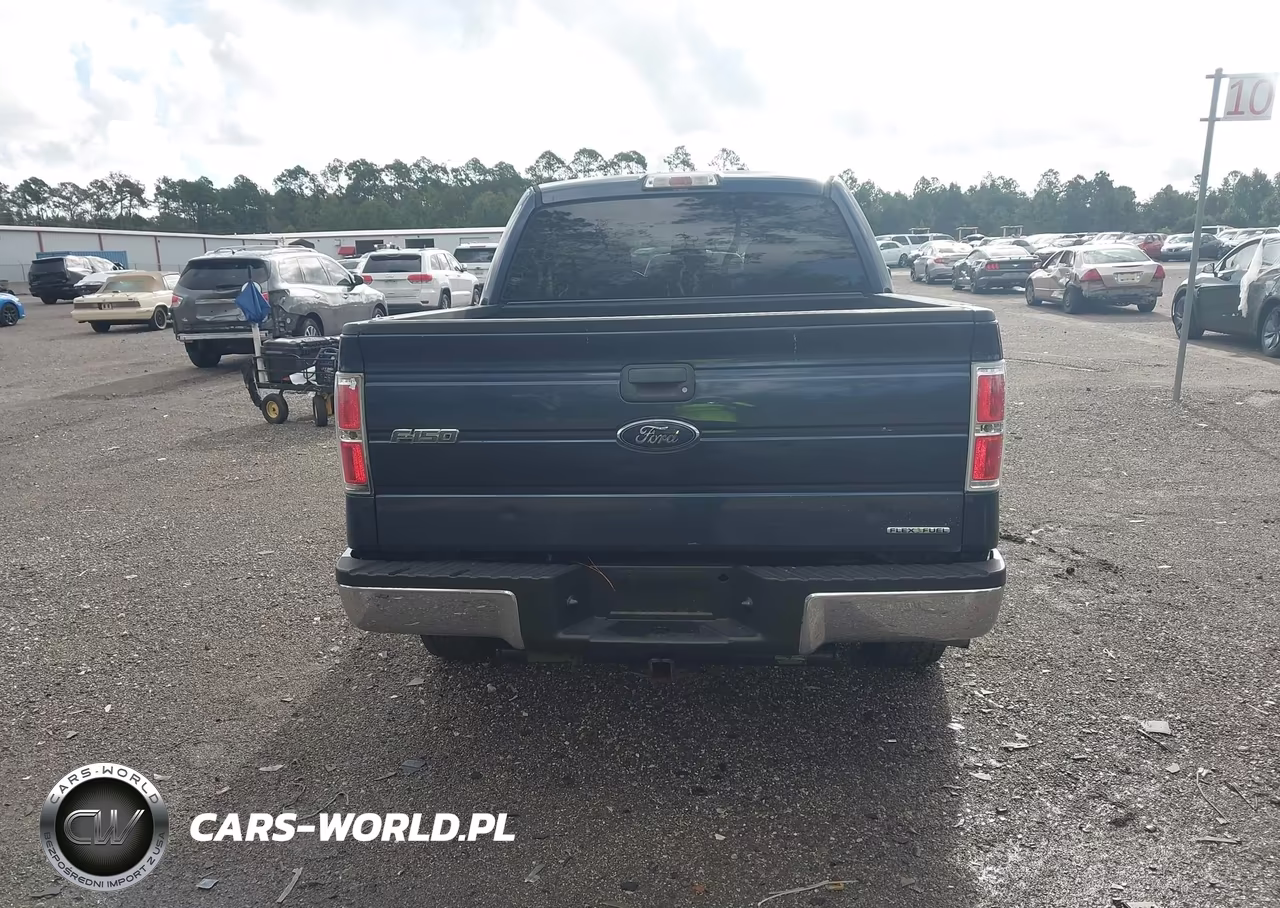 2014 Ford F-150 Xlt VIN:1FTFW1CF9EFA94480 - 16