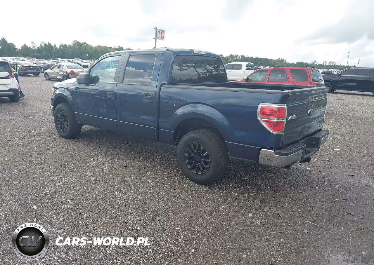 2014 Ford F-150 Xlt VIN:1FTFW1CF9EFA94480 - 3