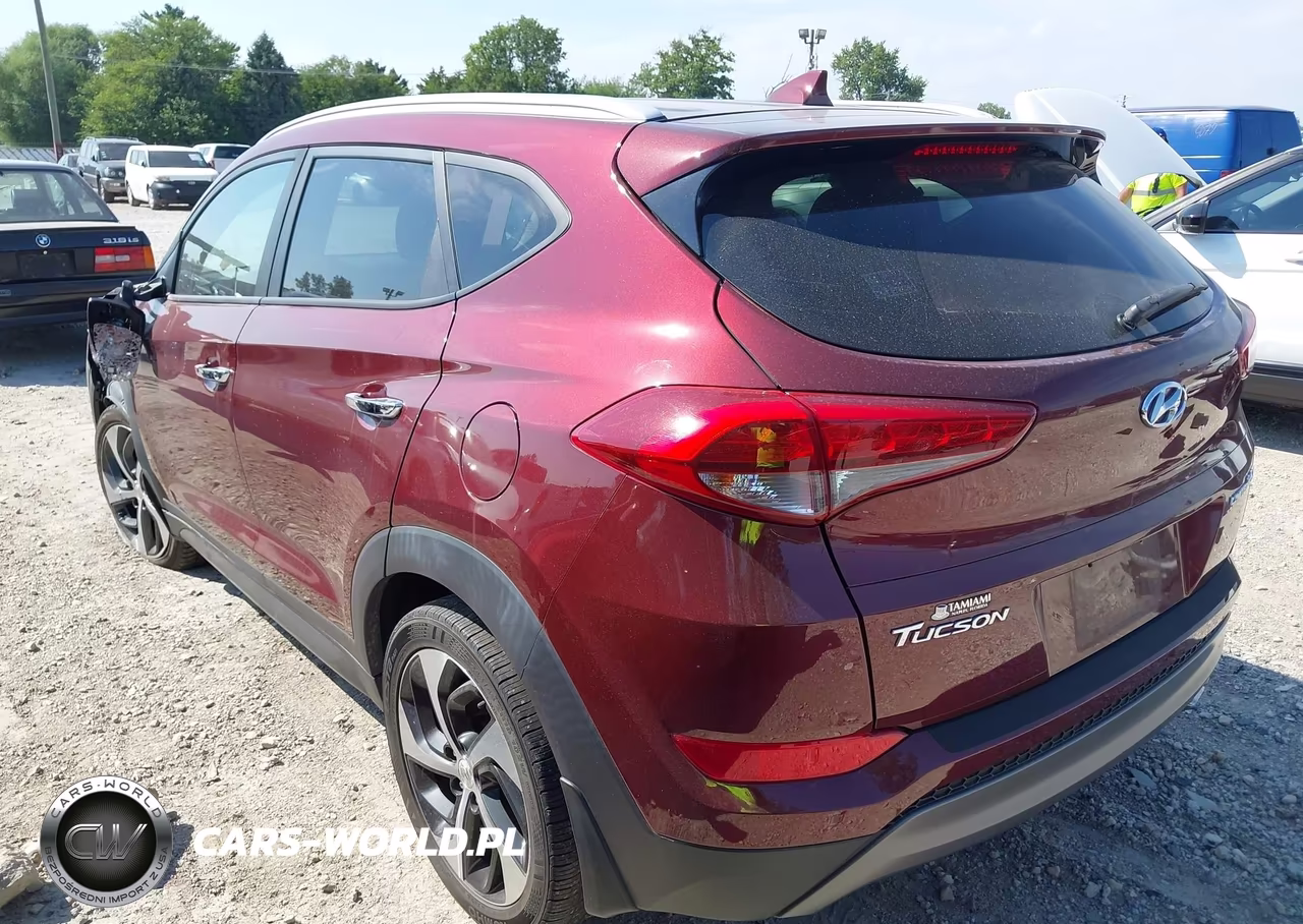 2016 Hyundai Tucson Limited VIN:KM8J33A28GU216948 - 3