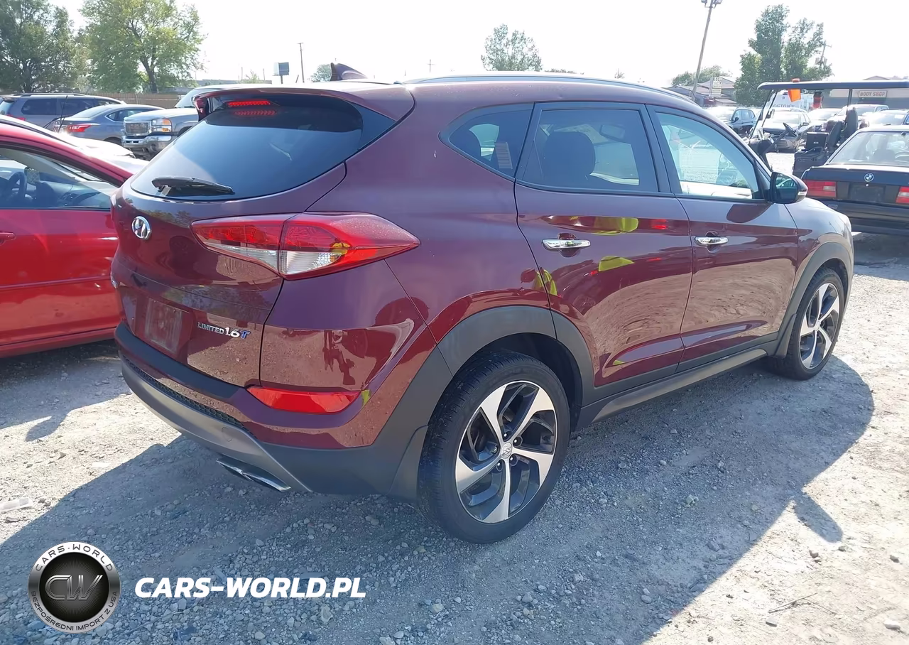 2016 Hyundai Tucson Limited VIN:KM8J33A28GU216948 - 4