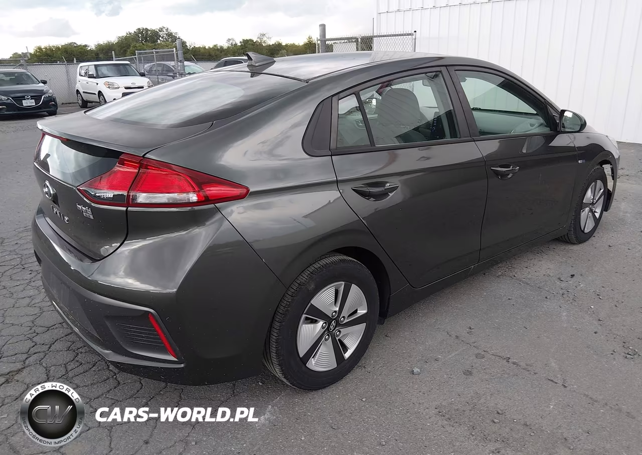 2020 Hyundai Ioniq Hybrid Blue VIN:KMHC65LC0LU217703 - 4