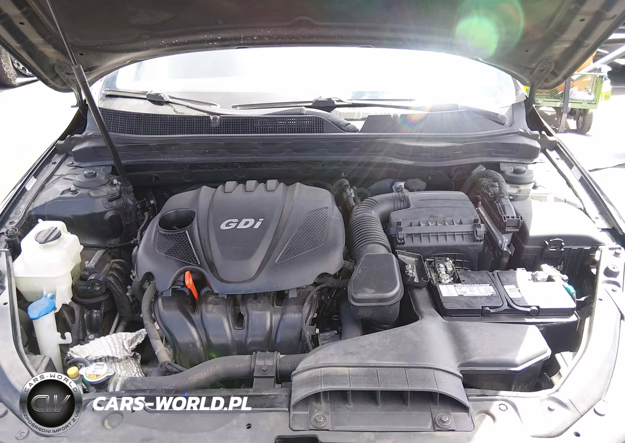2015 Kia Optima Lx VIN:5XXGM4A73FG462078 - 10
