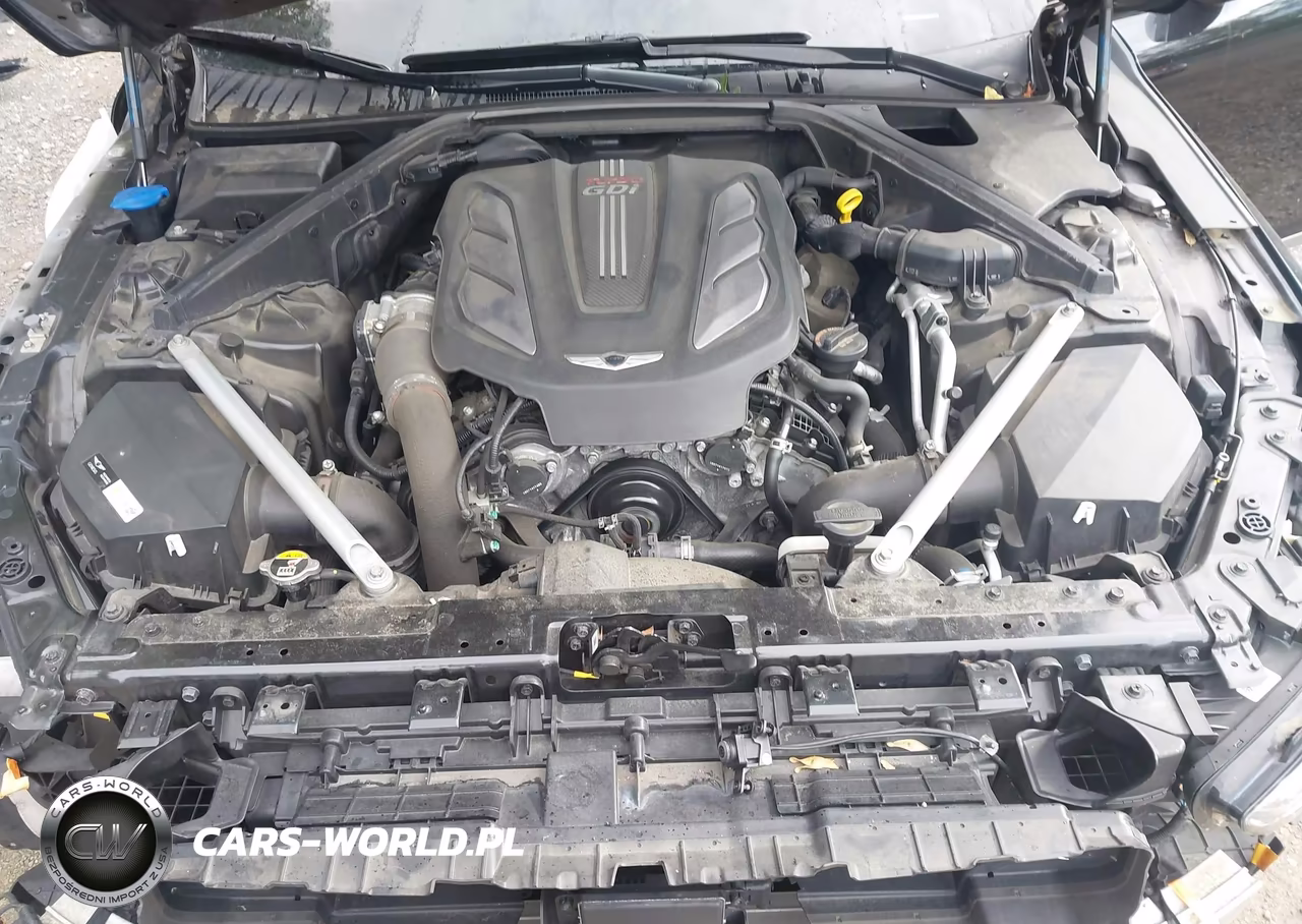 2019 Genesis G90 3.3T Premium VIN:KMTF34JA7KU054683 - 10