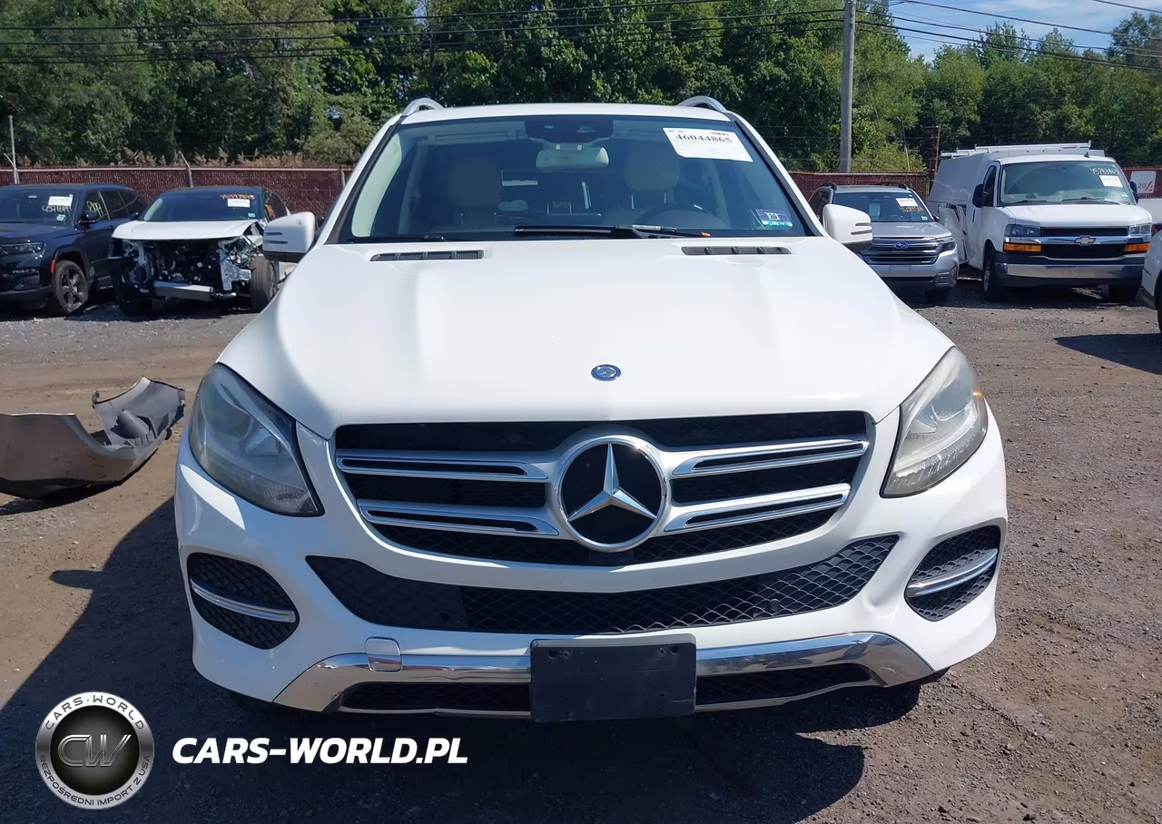 2016 Mercedes-Benz Gle 350 4Matic VIN:4JGDA5HB0GA812271 - 12