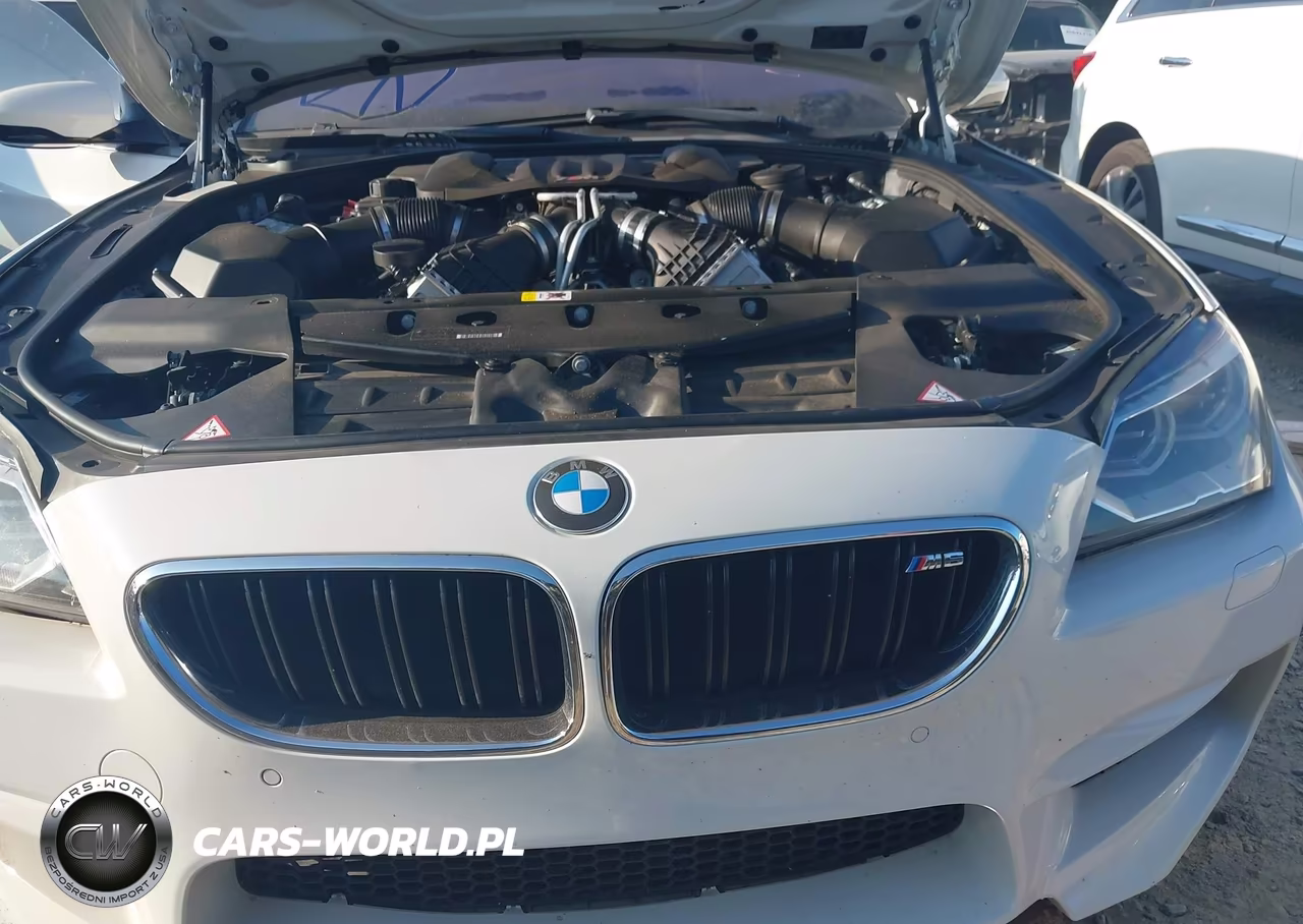 2014 BMW M6 VIN:WBSLX9C54ED160072 - 10