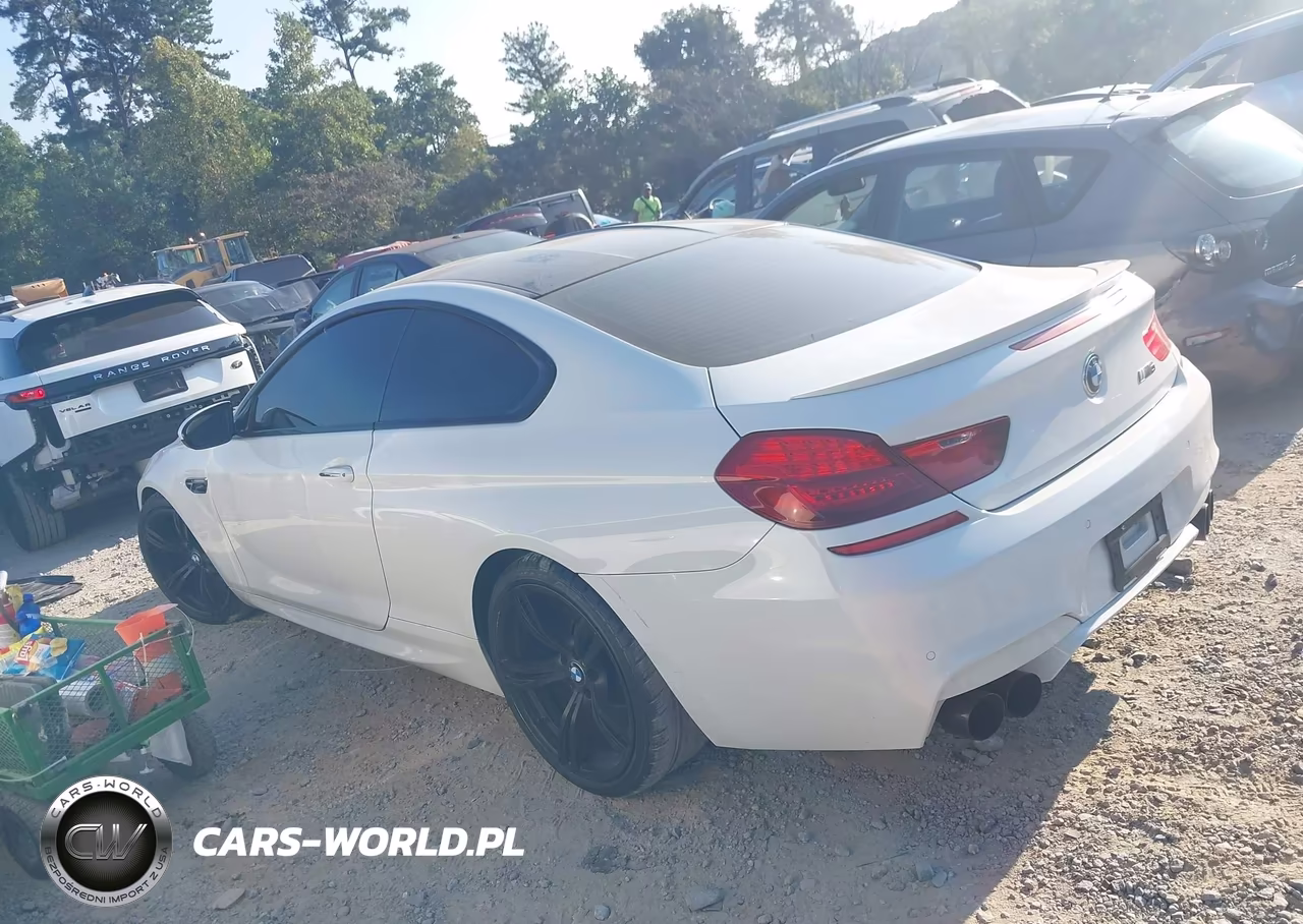 2014 BMW M6 VIN:WBSLX9C54ED160072 - 14