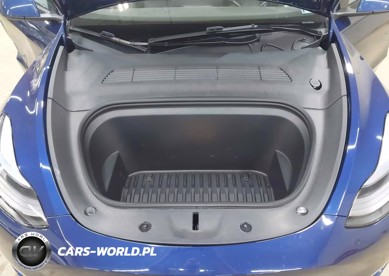 2024 Tesla Model Y Long Range Dual Motor All-Wheel Drive VIN:7SAYGDEE6RA221000 - 10