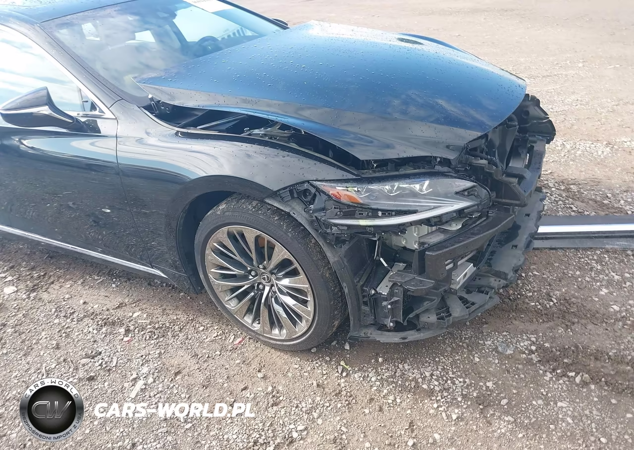 2019 Lexus Ls 500 VIN:JTHC51FFXK5006442 - 20
