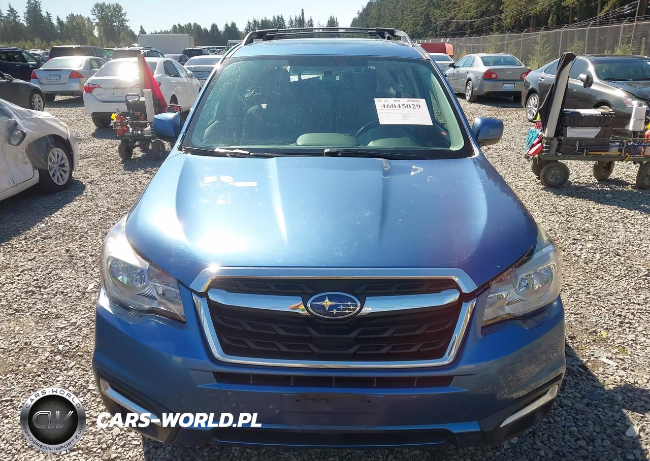 2017 Subaru Forester 2.5I Premium VIN:JF2SJAGC3HH587210 - 13