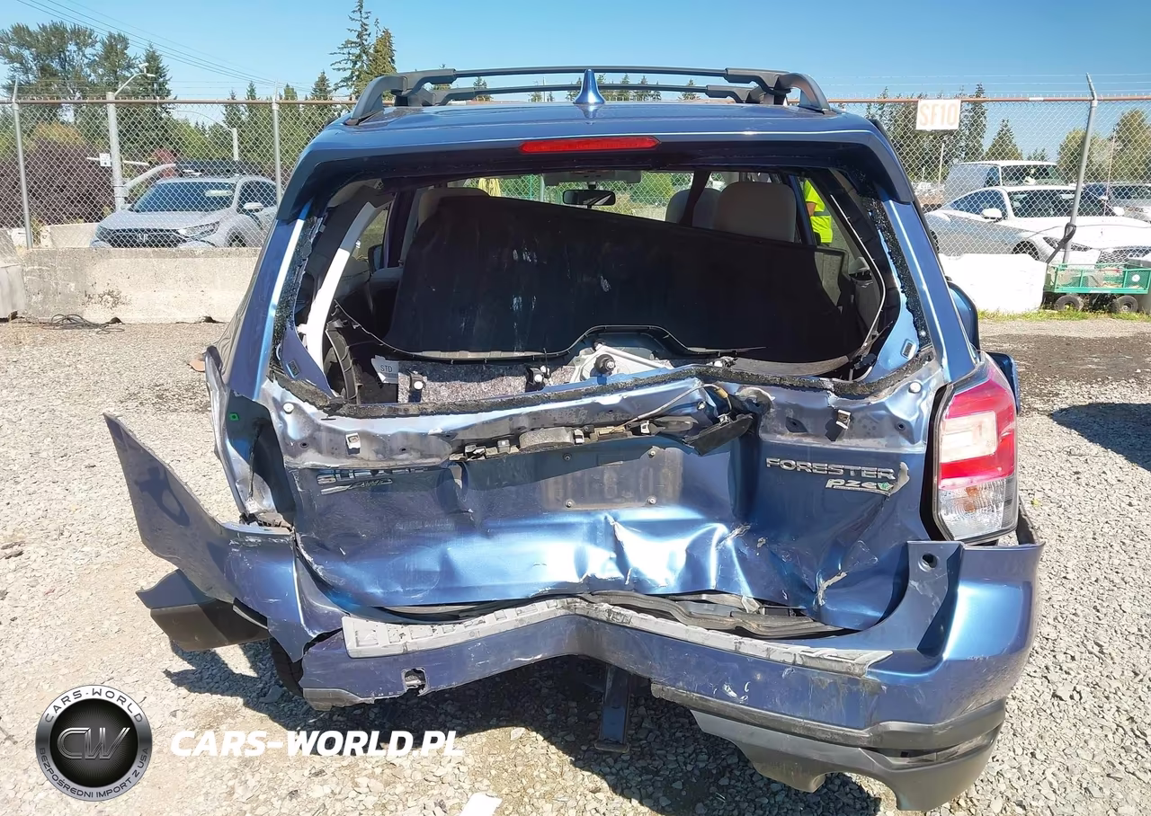 2017 Subaru Forester 2.5I Premium VIN:JF2SJAGC3HH587210 - 17