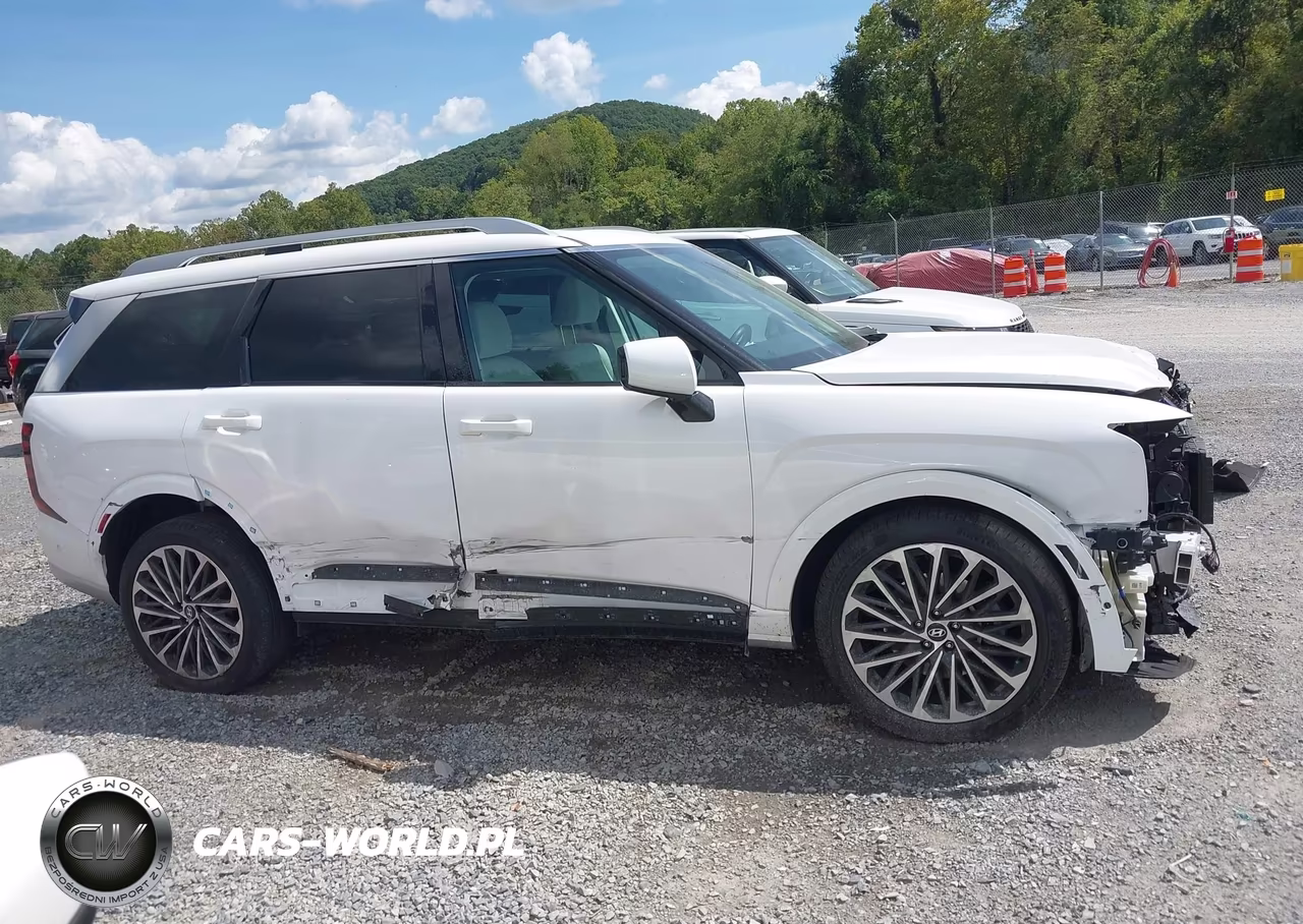 2026 Hyundai Palisade Hev Calligraphy VIN:KM8RMESAXTU054493 - 13