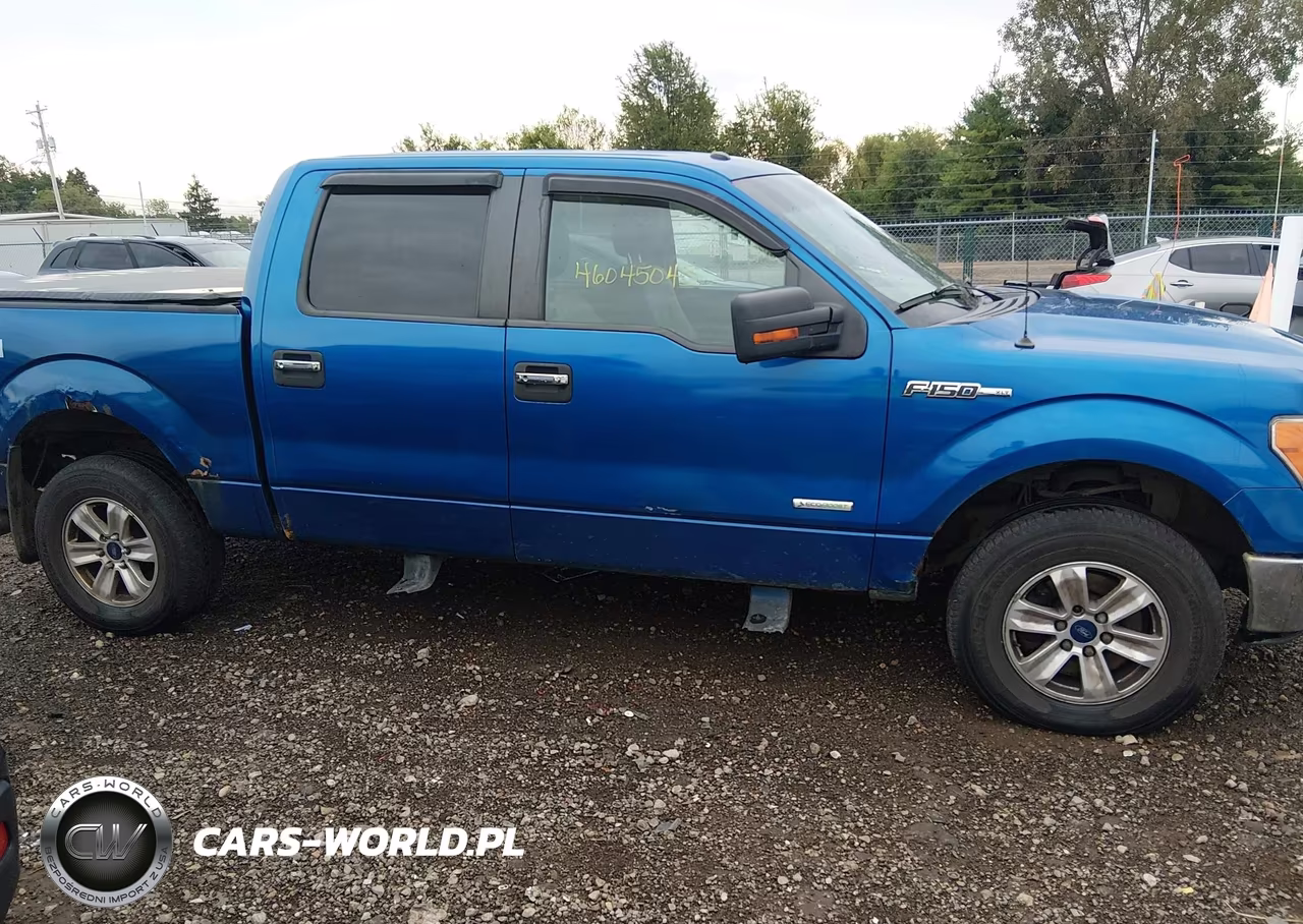 2013 Ford F-150 Xlt VIN:1FTFW1ET2DKD04765 - 13