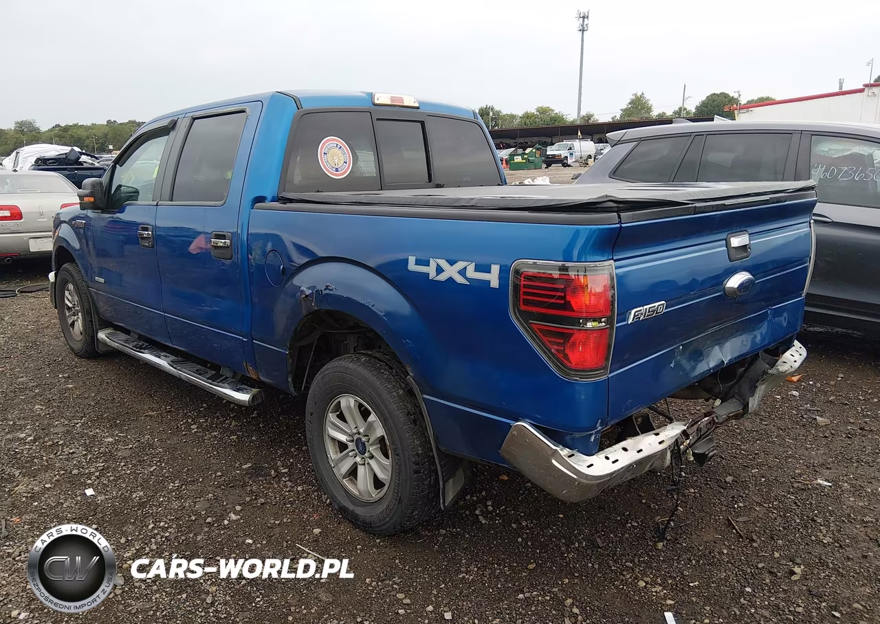 2013 Ford F-150 Xlt VIN:1FTFW1ET2DKD04765 - 3