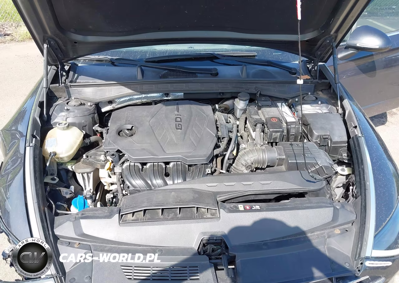 2020 Hyundai Sonata Se VIN:5NPEG4JA9LH031755 - 10