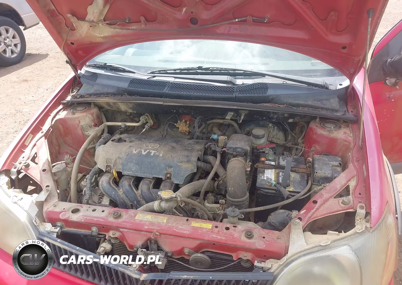 2002 Toyota Echo VIN:JTDBT123720219232 - 10