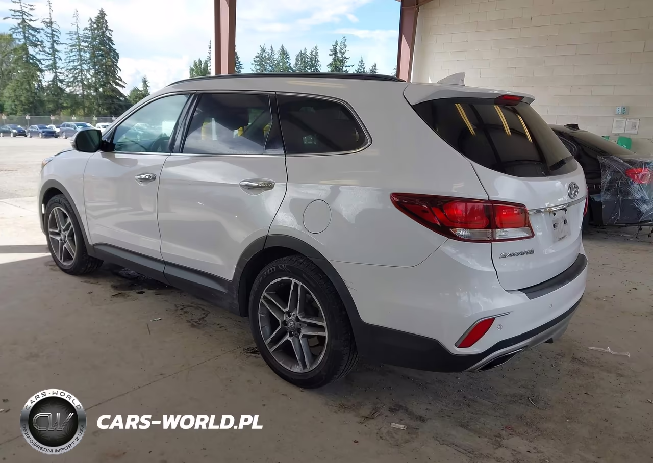 2018 Hyundai Santa Fe Se Ultimate VIN:KM8SRDHF5JU285962 - 3