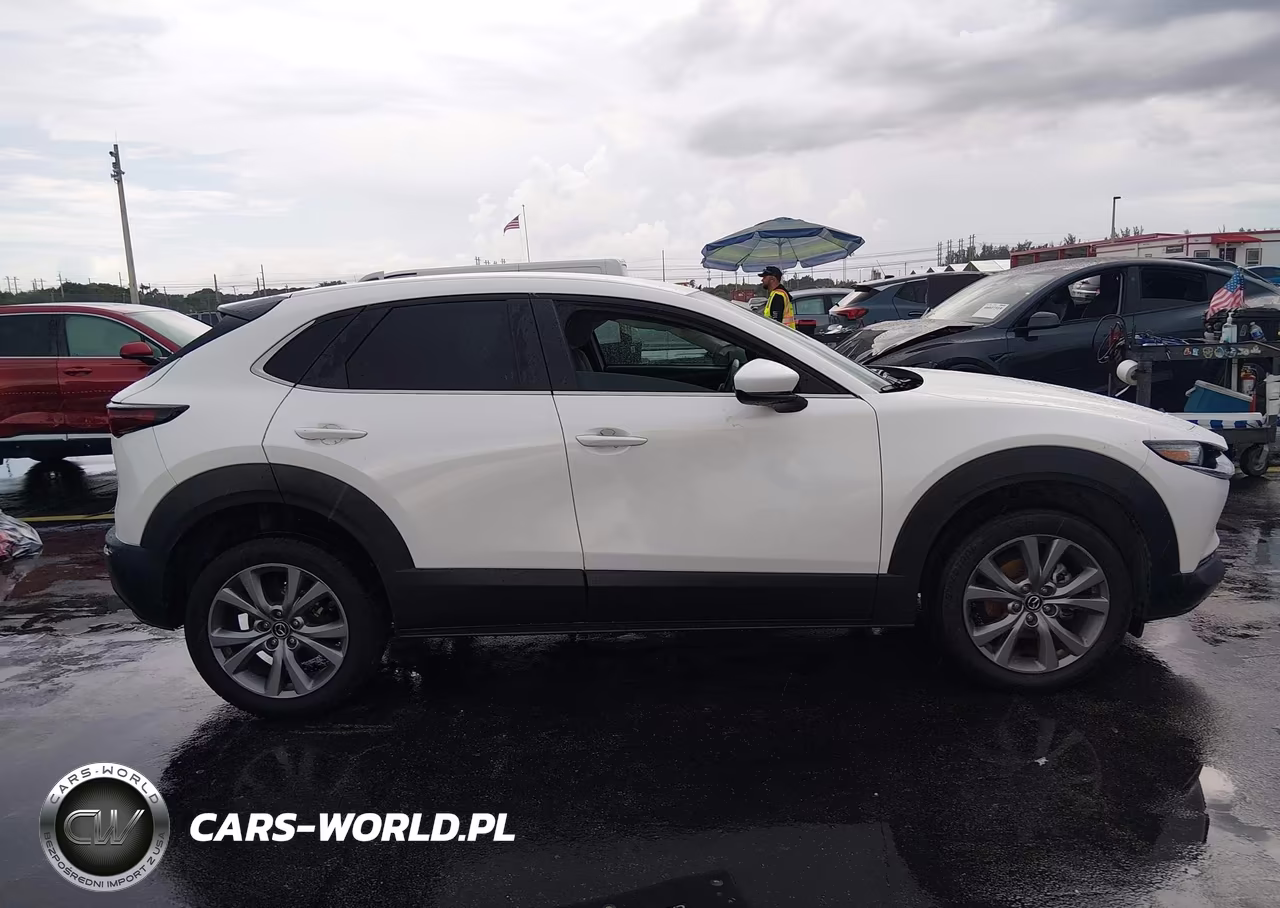 2020 Mazda Cx-30 Select Package VIN:3MVDMACL4LM137783 - 12