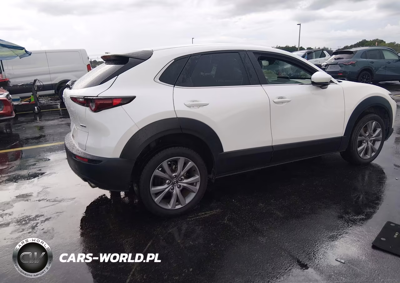 2020 Mazda Cx-30 Select Package VIN:3MVDMACL4LM137783 - 4
