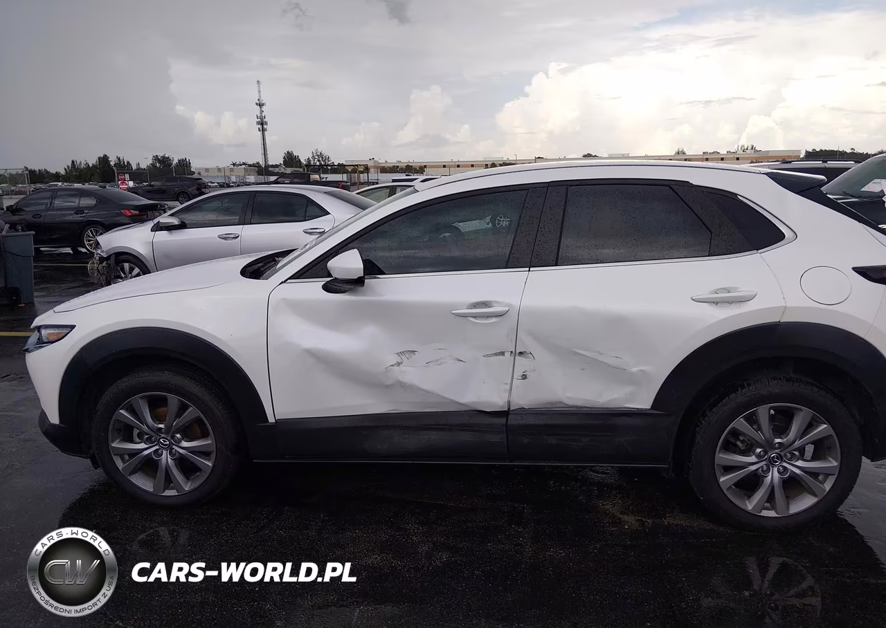 2020 Mazda Cx-30 Select Package VIN:3MVDMACL4LM137783 - 6