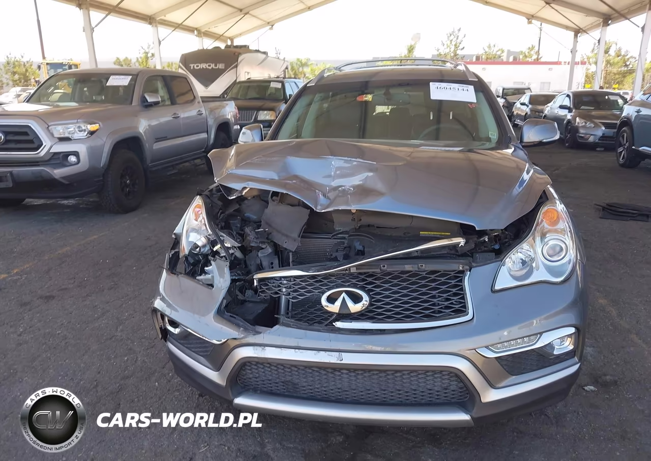 2017 Infiniti Qx50 VIN:JN1BJ0RP0HM385525 - 12