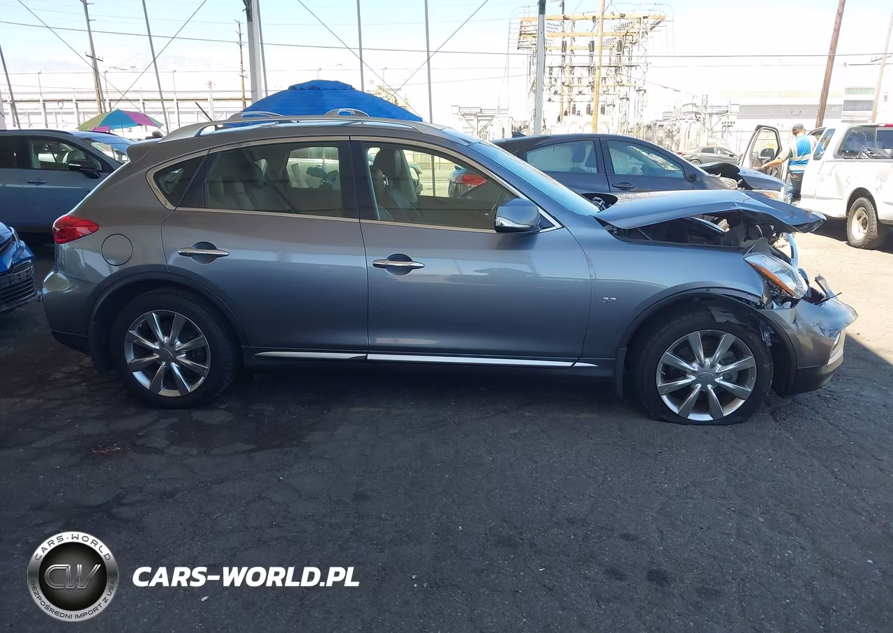 2017 Infiniti Qx50 VIN:JN1BJ0RP0HM385525 - 13