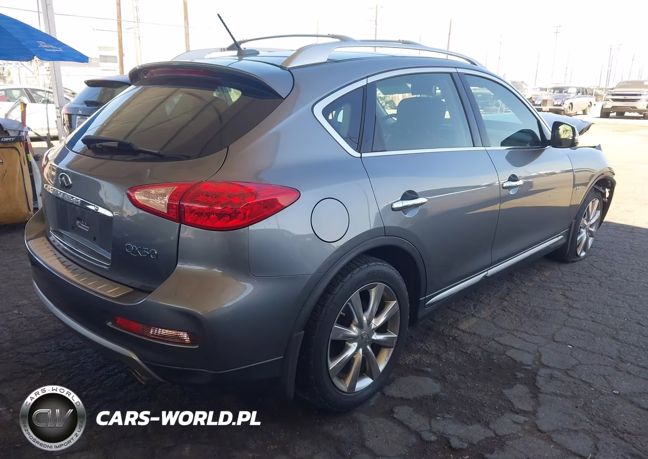 2017 Infiniti Qx50 VIN:JN1BJ0RP0HM385525 - 4