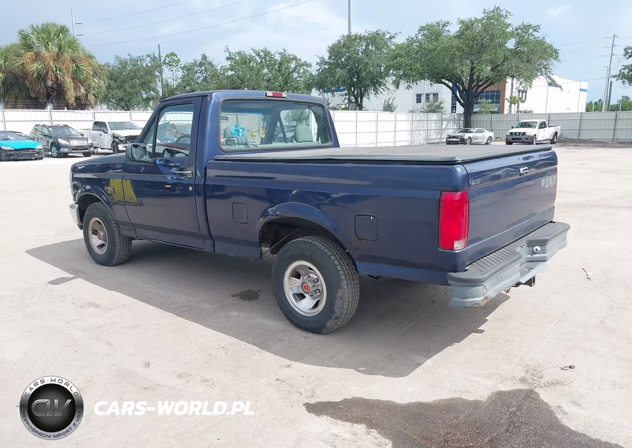 1995 Ford F150 VIN:1FTDF15Y3SNA11679 - 3
