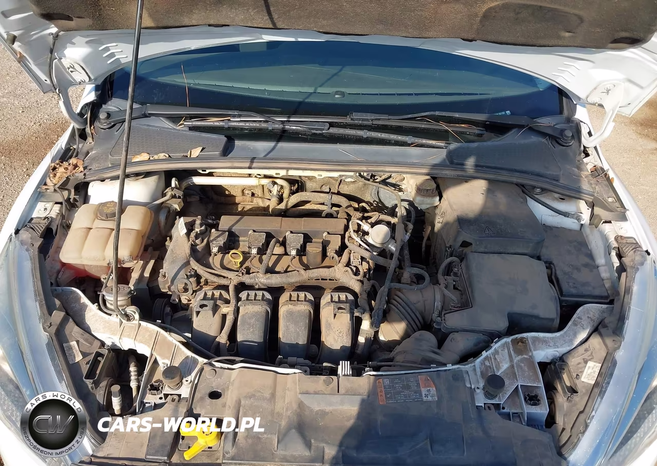 2017 Ford Focus Se VIN:1FADP3F22HL331153 - 10