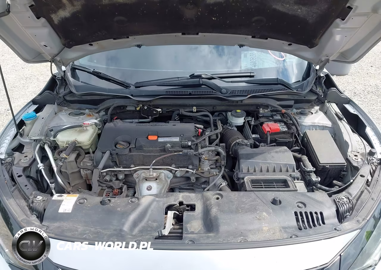 2019 Honda Civic Lx VIN:2HGFC2F69KH538558 - 10