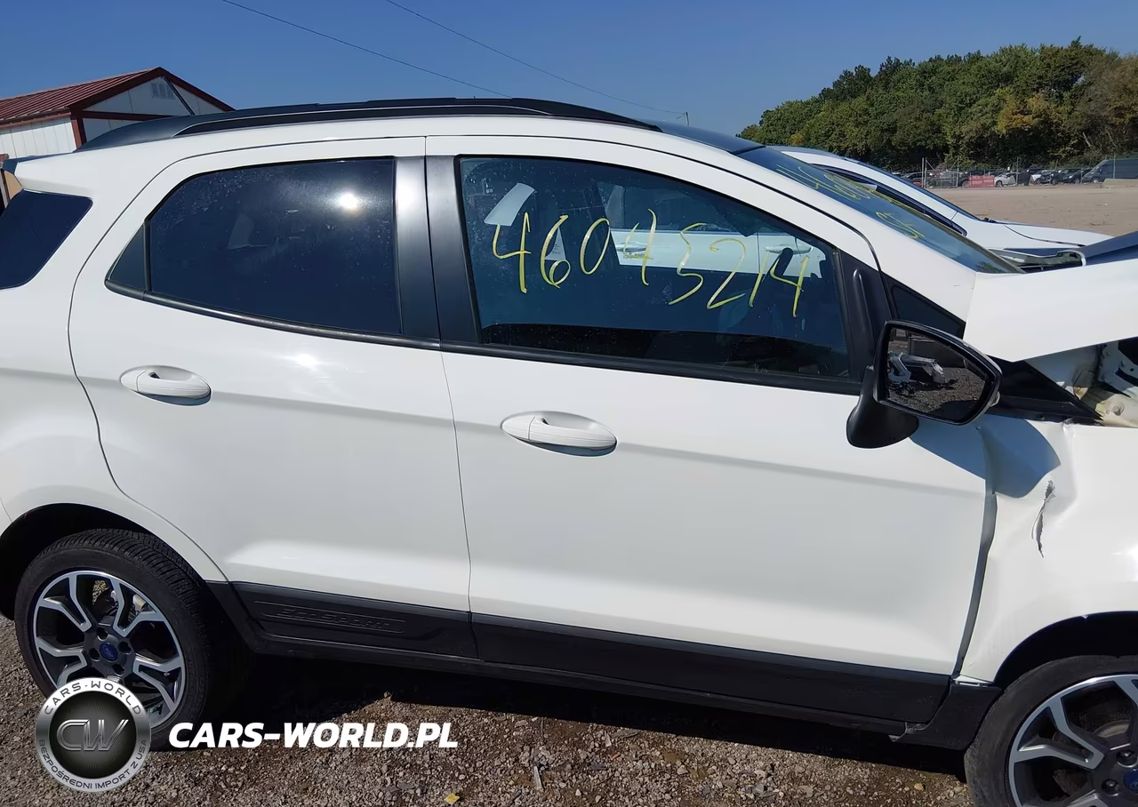 2020 Ford Ecosport Ses VIN:MAJ6S3JL8LC317516 - 14