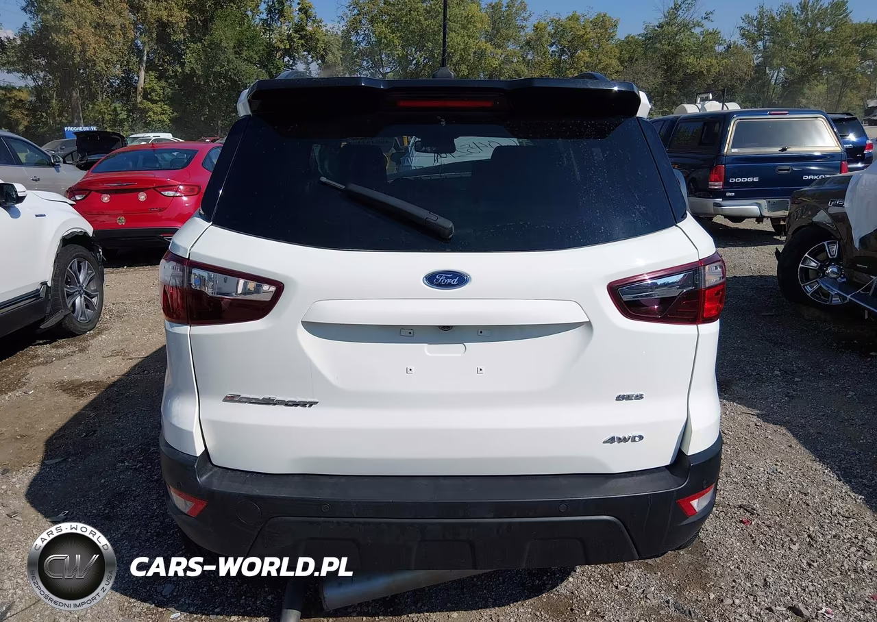 2020 Ford Ecosport Ses VIN:MAJ6S3JL8LC317516 - 17