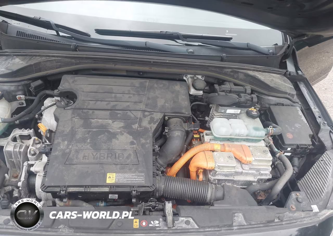 2019 Hyundai Ioniq Hybrid Blue VIN:KMHC65LC5KU156556 - 10